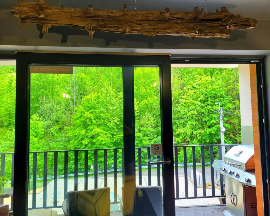 Apartament Spokoloko Mysliwski Szczyrk Exterior foto